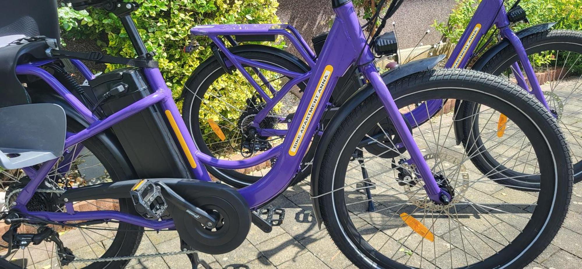 Zwei Schlafzimmer Ferienapartment Anna Am Stubenbergsee Inklusive Vier E-Bikes Екстериор снимка