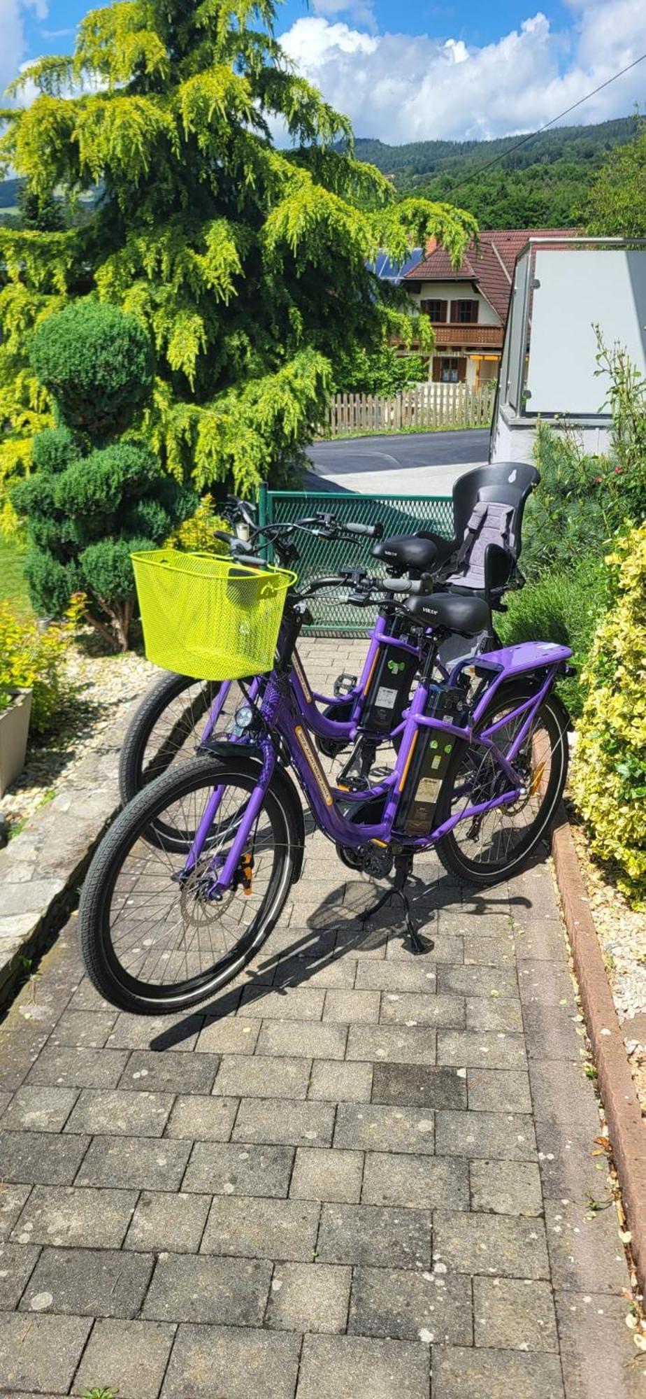 Zwei Schlafzimmer Ferienapartment Anna Am Stubenbergsee Inklusive Vier E-Bikes Екстериор снимка