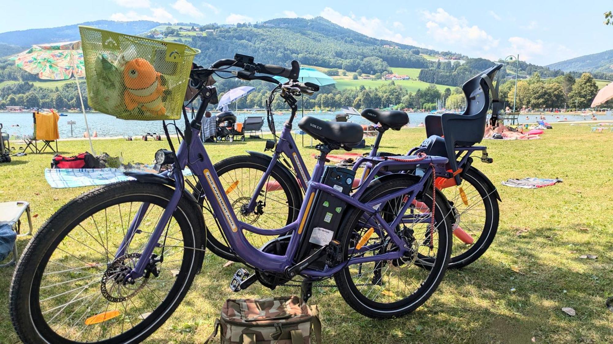 Zwei Schlafzimmer Ferienapartment Anna Am Stubenbergsee Inklusive Vier E-Bikes Екстериор снимка